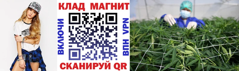 Все наркотики Луза Кокаин ТГК ГАШ АМФ МЕФ Альфа ПВП