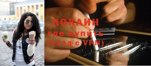 хмурый Няндома