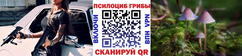 площадка официальный сайт  Луза  Псилоцибиновые грибы мицелий 